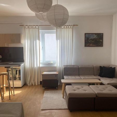 Elisaveta'S Retreat. Come To Feel The Tranquility! Rîşnov 外观 照片
